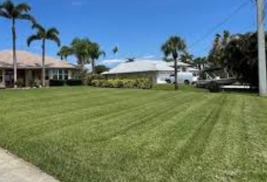 Best Grass Types for Myrtle Beach Lawns