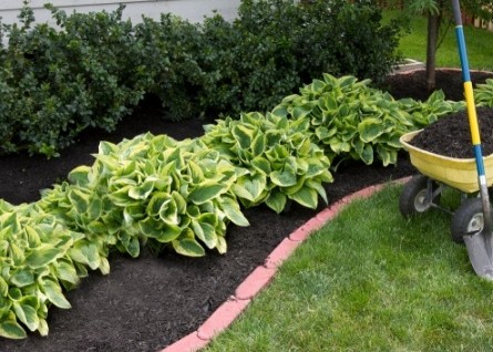 Lawn Care & Landscaping →