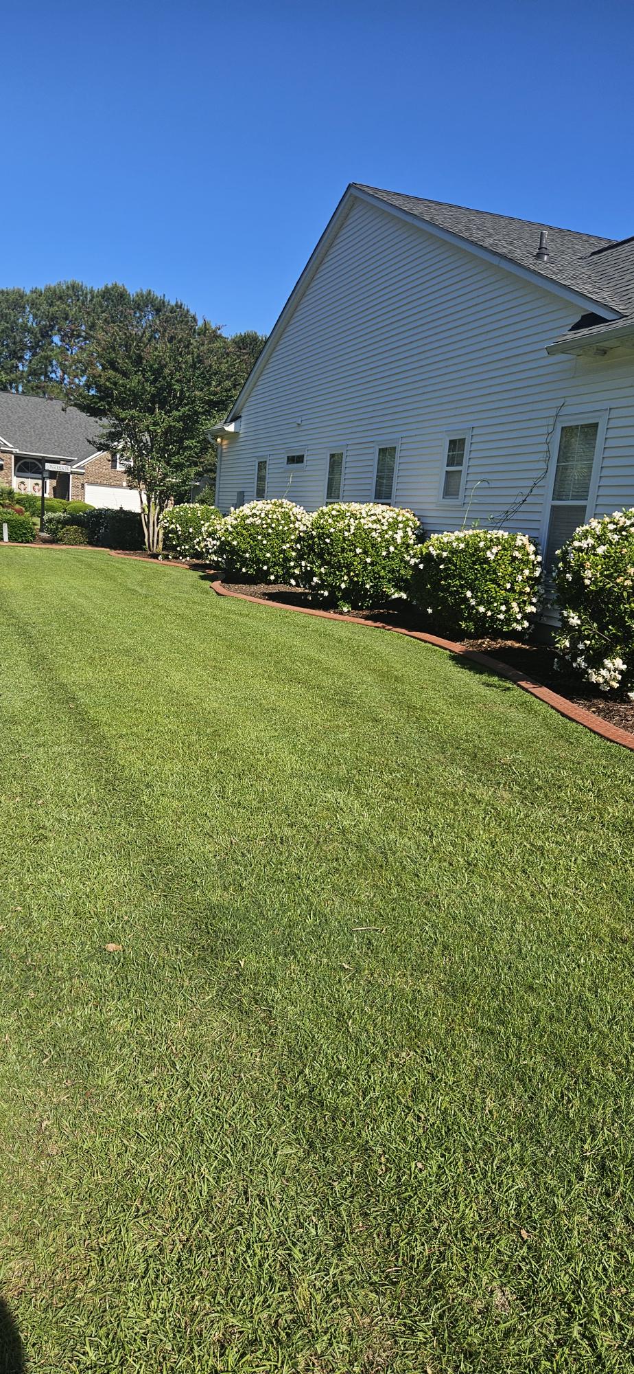 Manicured lawn white flowering shrubs mulch bed red brick curbing — Murrells Inlet SC