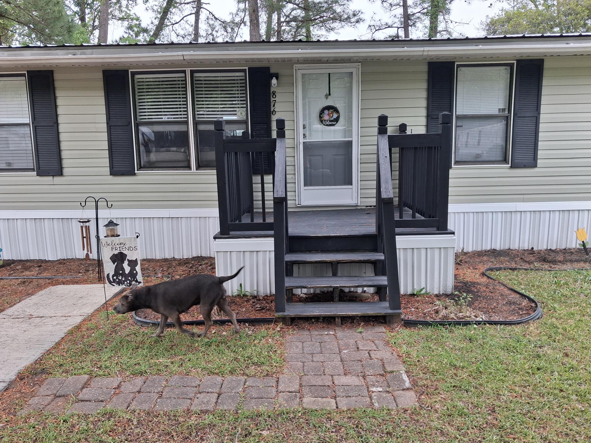 Before: old painted entry steps no deck — Murrells Inlet SC