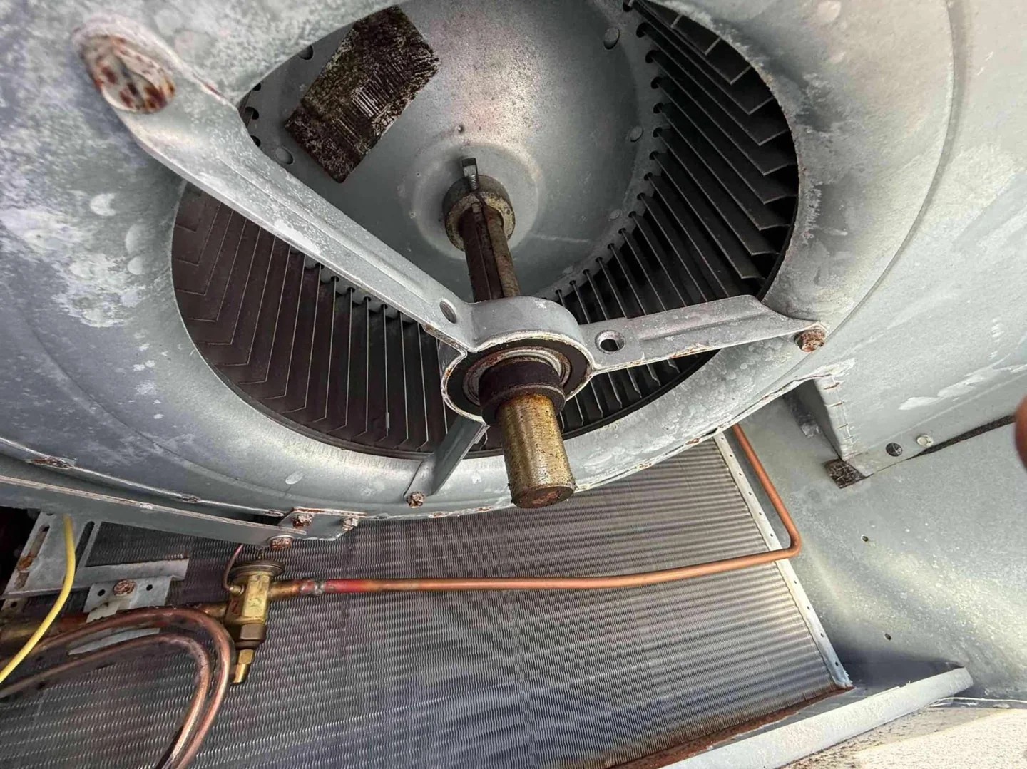Blower assembly in Myrtle Beach